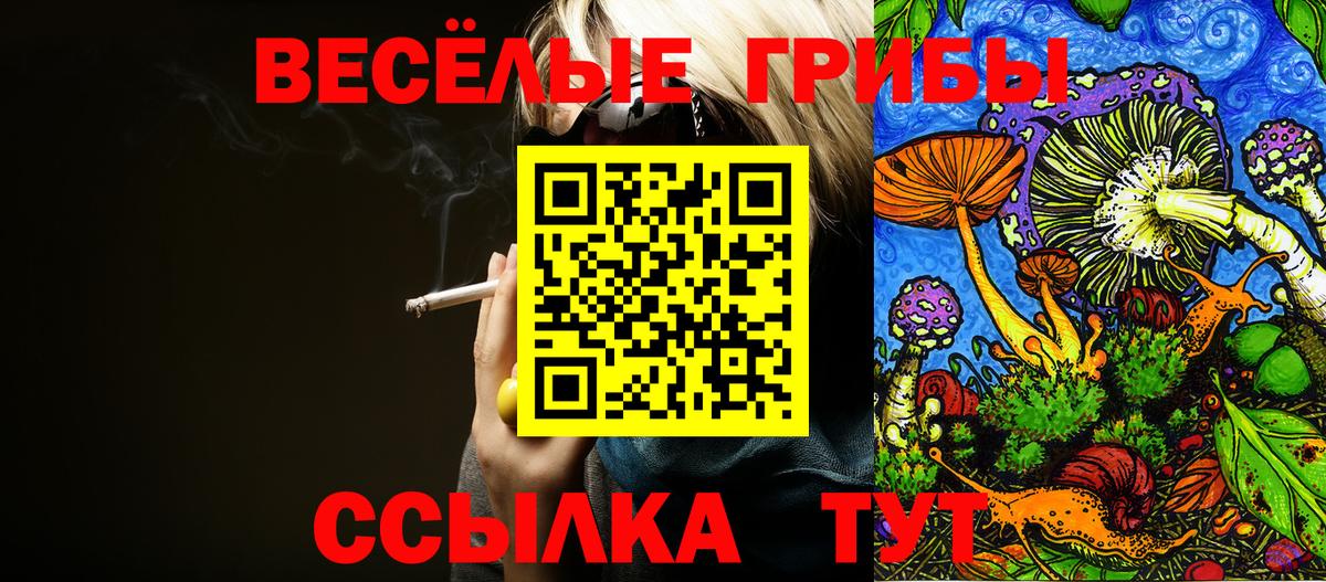 Галлюциногенные грибы Psilocybe  Псилоцибиновые грибы прущие грибы  Вход с VPN  Углич 